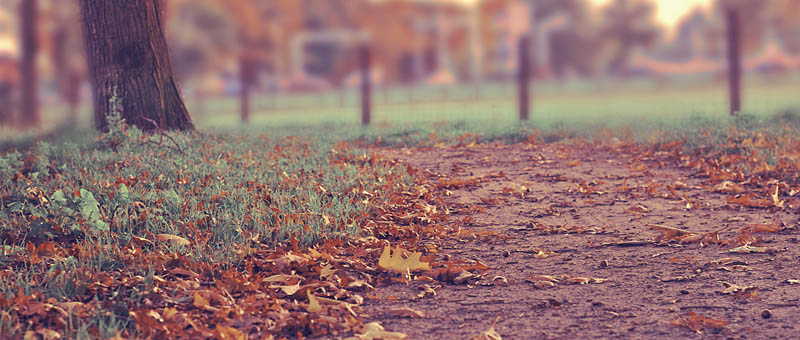 短信轰炸免费在线网站