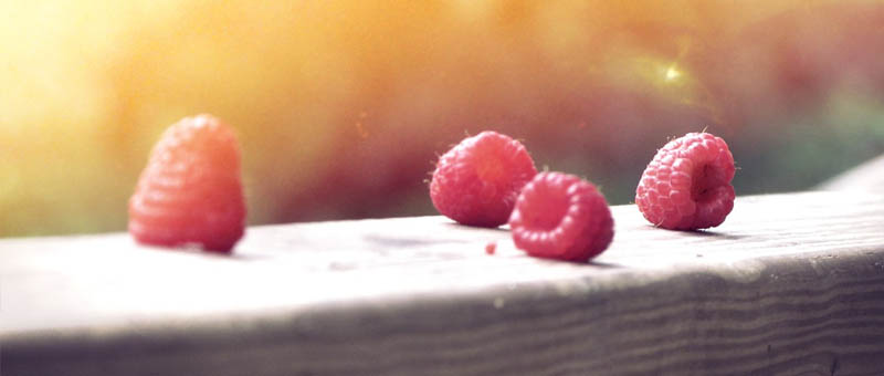 接码短信社区平台